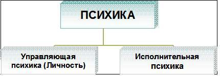 Motkov_mind_pic2.jpg
