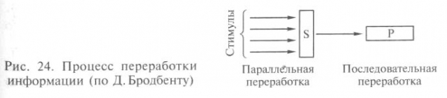 Nurkova_24.jpg