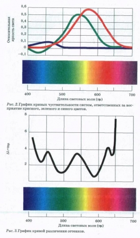 color_pic2-3.jpg