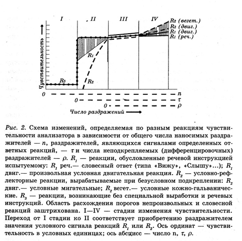 gershuni_sokolov_0002.jpg