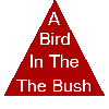 A Bird in The Bush